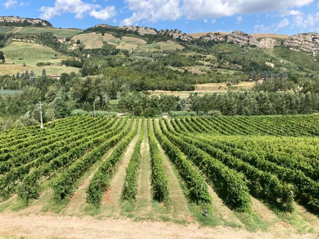 Ca' Vanello Borgo Tossignano Luaran gambar